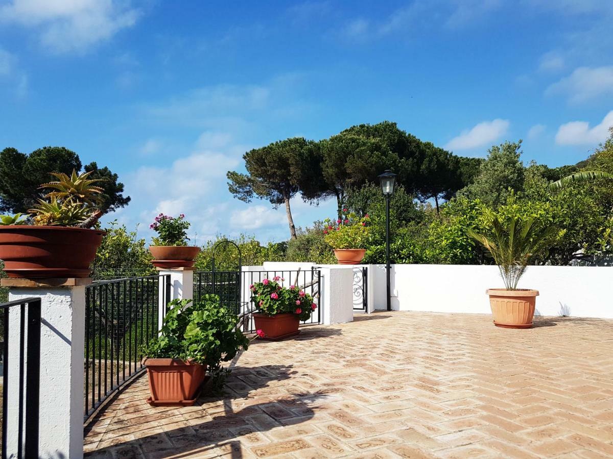 Villa Del Sogno Parghelia Bagian luar foto