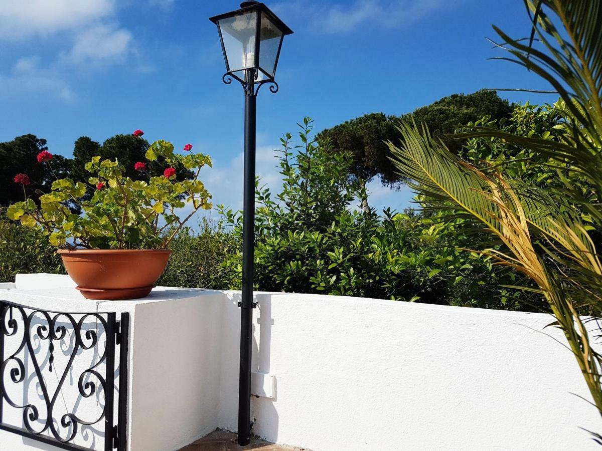 Villa Del Sogno Parghelia Bagian luar foto